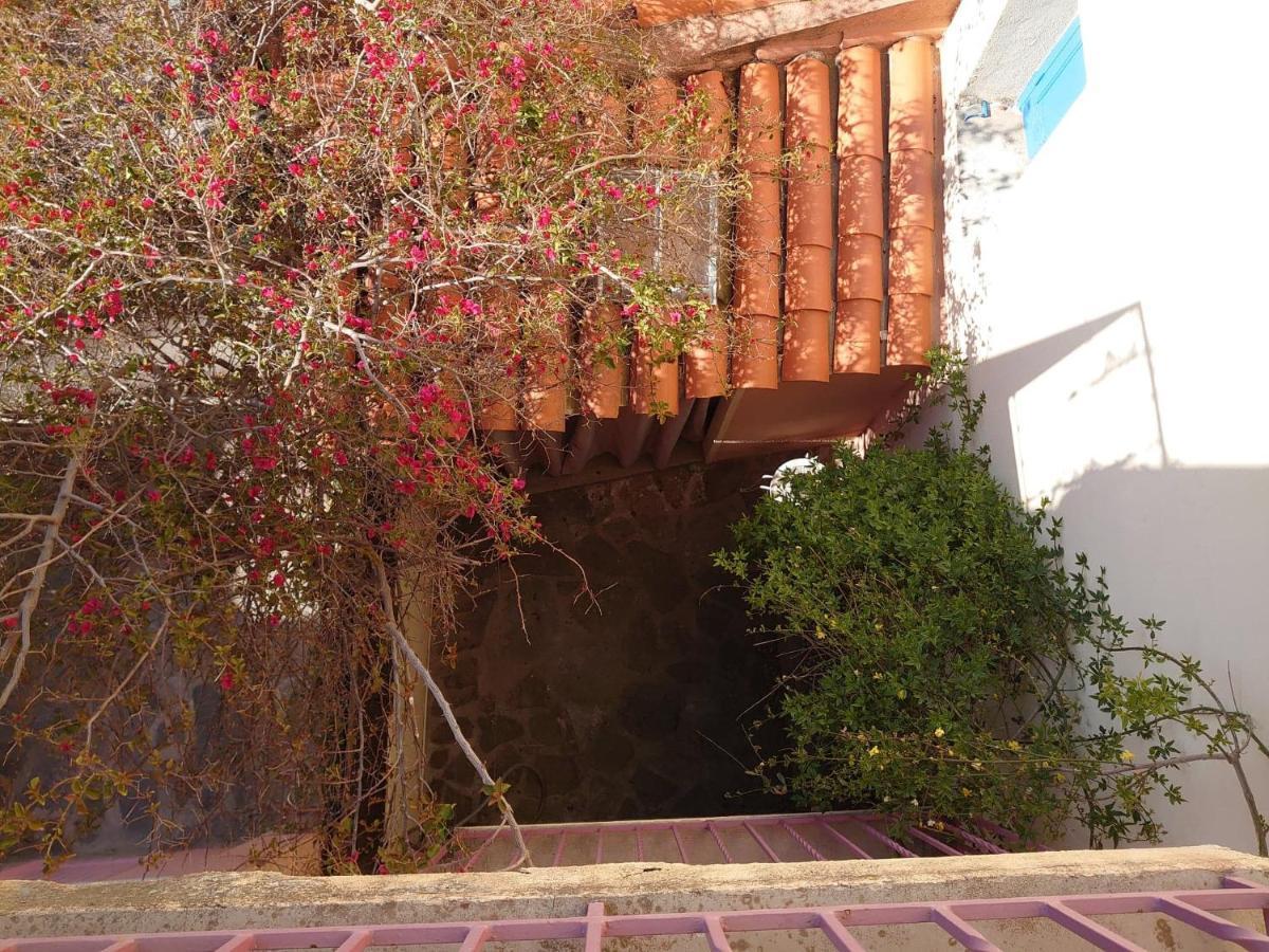 6Mir17 - Chaleureuse Maison De Pecheurs Idealement Situee Collioure Eksteriør bilde